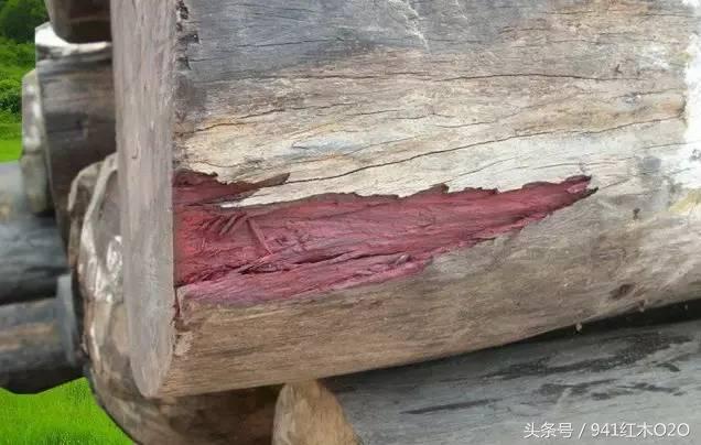 什么是大叶紫檀 学名卢氏黑黄檀-3