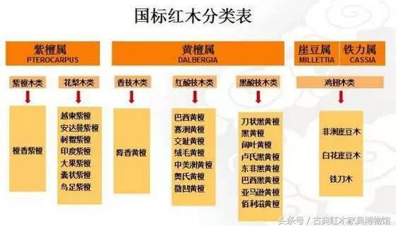 哪些木材是红木 真正红木有33种-1