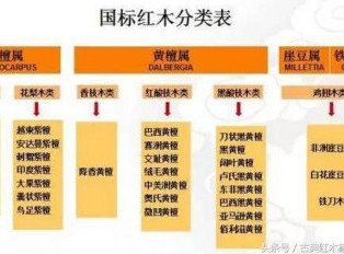 哪些木材是红木 真正红木有33种