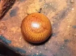 将小叶紫檀手串盘出惊艳包浆的四个阶段