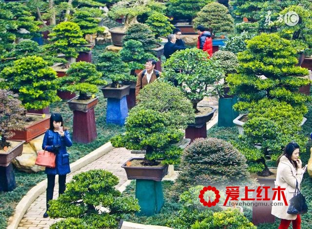 不为人知的红木保健作用看了能多活好几年的知识-1
