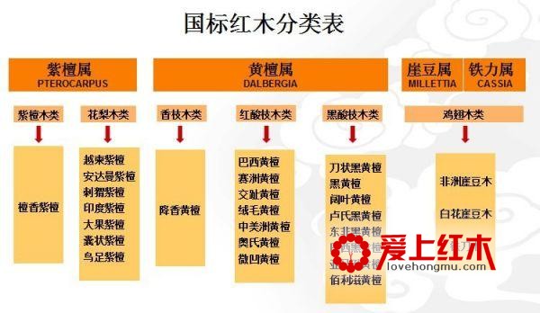 国标红木三十三种木材，你了解几种？-1