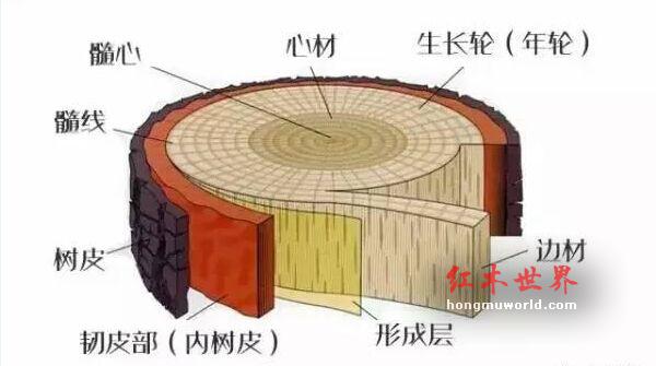 如何判断红木好不好，看内行人怎么说？-1