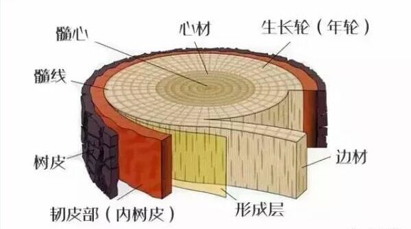 如何判断红木好不好，看内行人怎么说？
