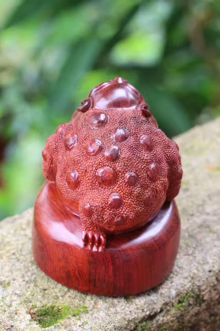 小叶紫檀工艺品招财金蟾造型逗趣 风水小摆件-5