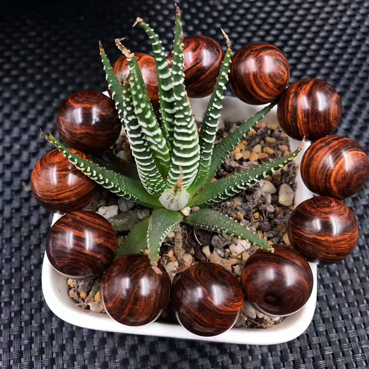【海枯石烂】正宗海南黄花梨2.0枯木老料-6
