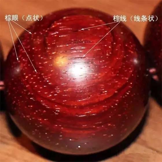 纯干货：关于小叶紫檀你必须知道的基础知识-1