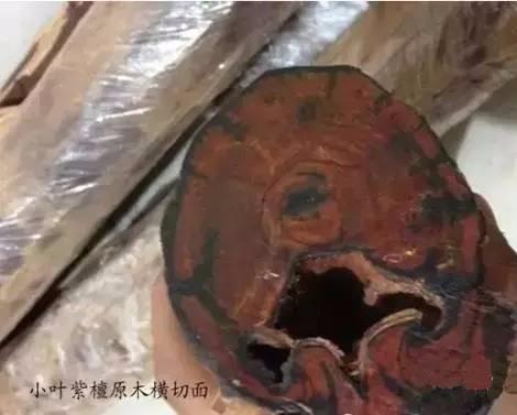 纯干货：关于小叶紫檀你必须知道的基础知识-17