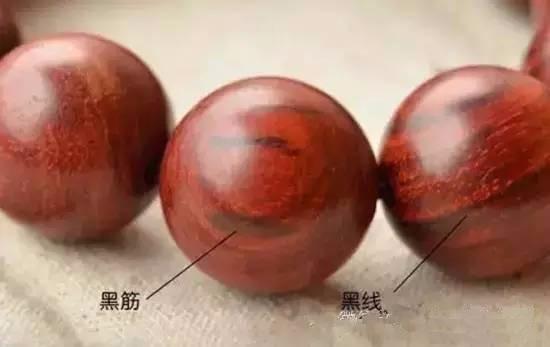 纯干货：关于小叶紫檀你必须知道的基础知识-19