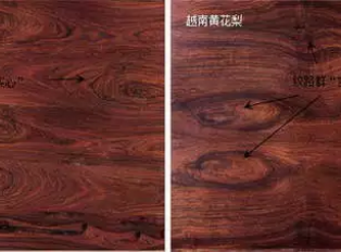 海黄与越黄到底如何区分？有图有真相！