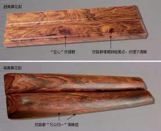 海黄与越黄到底如何区分？有图有真相！-6