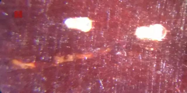 小叶紫檀金星造假猖獗，第六代假金星冲击市场，和真星几乎无差别！-8