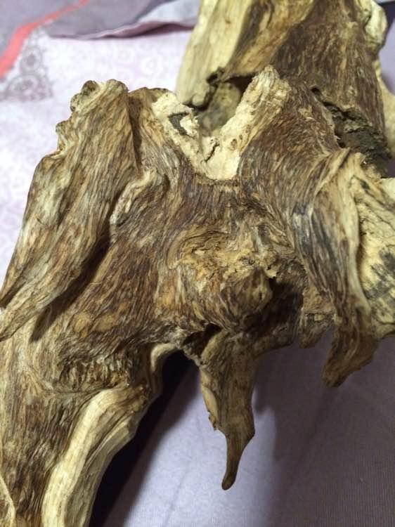 何谓沉香的黑油格和黄油格？-1