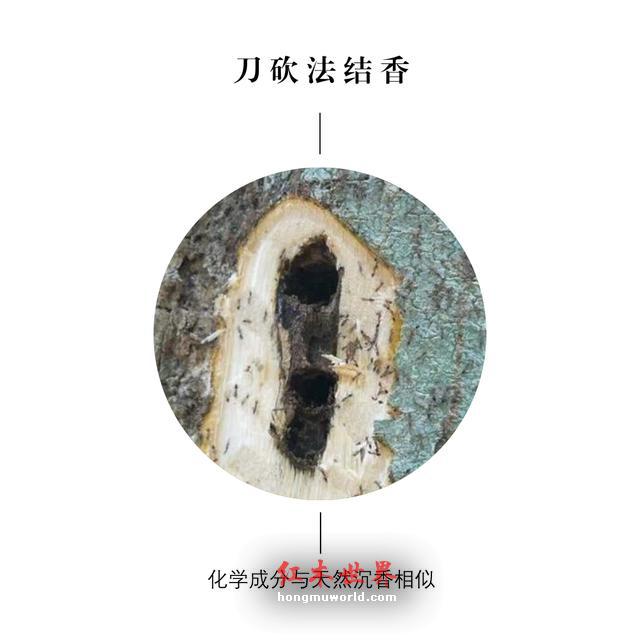 沉香的本性与秘密-1