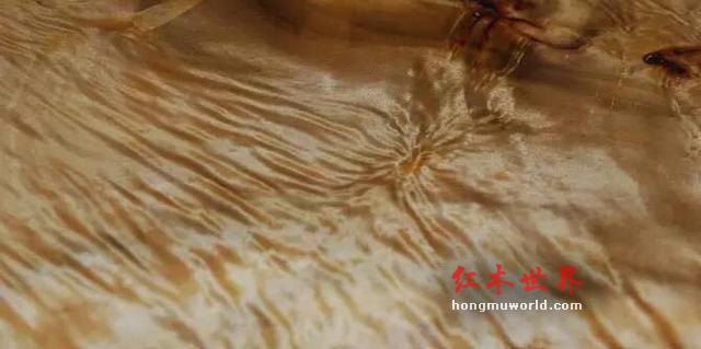 金丝楠的金丝要如何鉴别,看图说话！-13