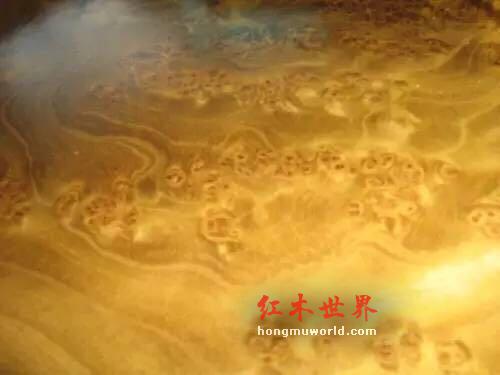 金丝楠的金丝要如何鉴别,看图说话！-25