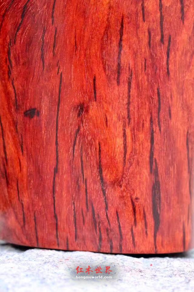 印度小叶紫檀，五狮戏球笔筒，精雕五狮戏球，寓意风调雨顺-8