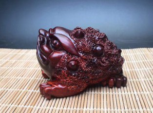 寸檀寸金的“小叶紫檀”，药用价值也不菲！