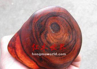 老挝大红酸枝：“巴里黄檀，我只要你当我的替身”-1
