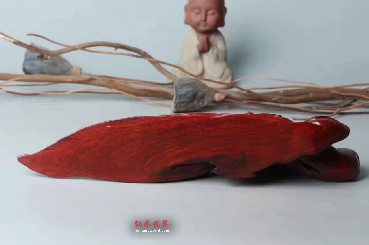 小叶紫檀《车摆佛》精工雕刻油性好背部纯天然-7