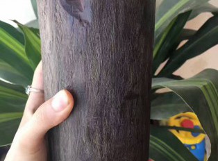 小叶紫檀原汁原味笔筒 千年风化老料木性稳定油性好