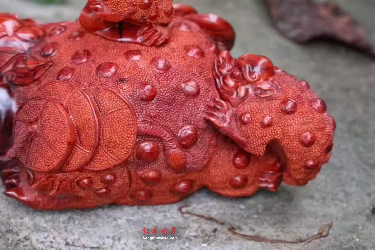 小紫叶檀《招财进宝》壶 工艺造型栩栩如生-7