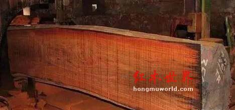 红木开料有大学问 差之毫厘数以百万计-1