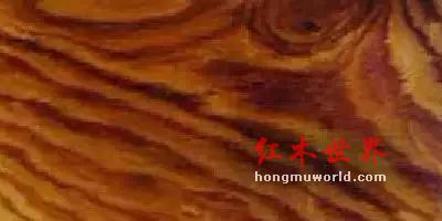 看图识红木，看着看着就赚了-3