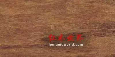 看图识红木，看着看着就赚了-5