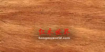 看图识红木，看着看着就赚了-6