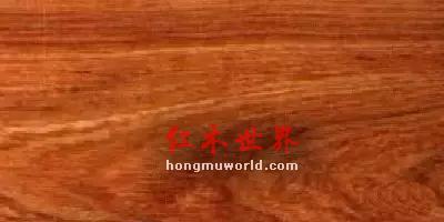 看图识红木，看着看着就赚了-8