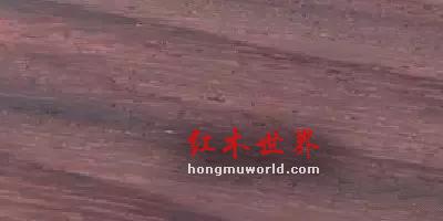 看图识红木，看着看着就赚了-12