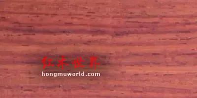看图识红木，看着看着就赚了-18