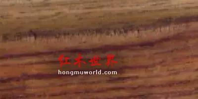 看图识红木，看着看着就赚了-21