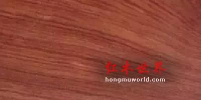 看图识红木，看着看着就赚了-31
