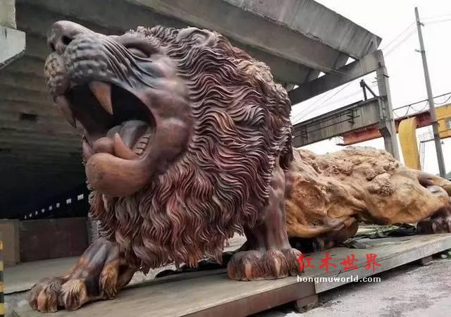 来自福建仙游的这个大狮子为何能引起骚动-2