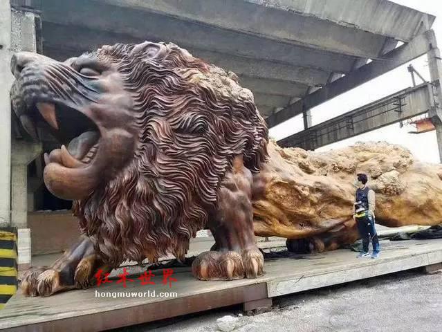 来自福建仙游的这个大狮子为何能引起骚动-1