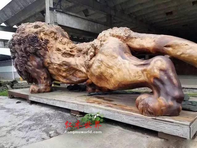 来自福建仙游的这个大狮子为何能引起骚动-5