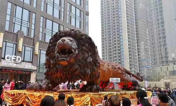 来自福建仙游的这个大狮子为何能引起骚动-3