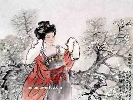 海南花梨木的传说故事介绍 花梨木原来是这么来的