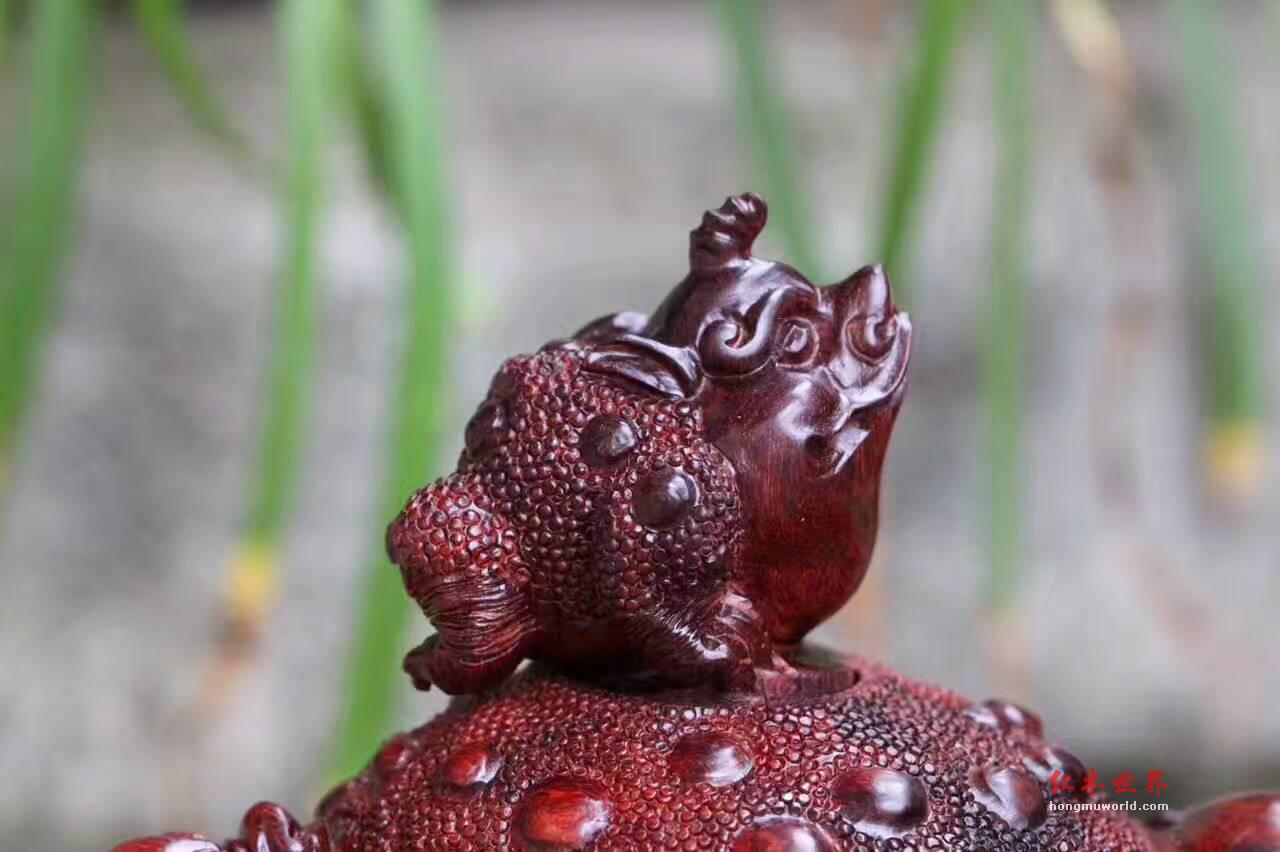 小叶紫檀《招财进宝》壶 造型独特精美寓意好-4