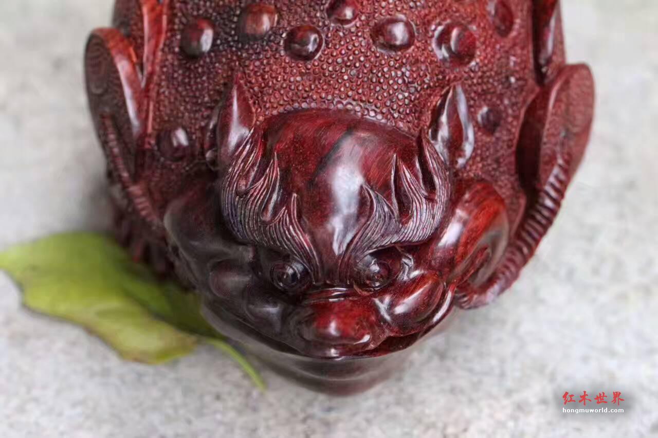小叶紫檀《招财进宝》壶 造型独特精美寓意好-5