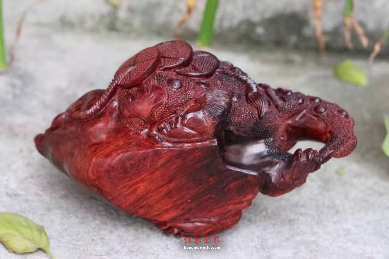 小叶紫檀《招财进宝》壶 造型独特精美寓意好-8
