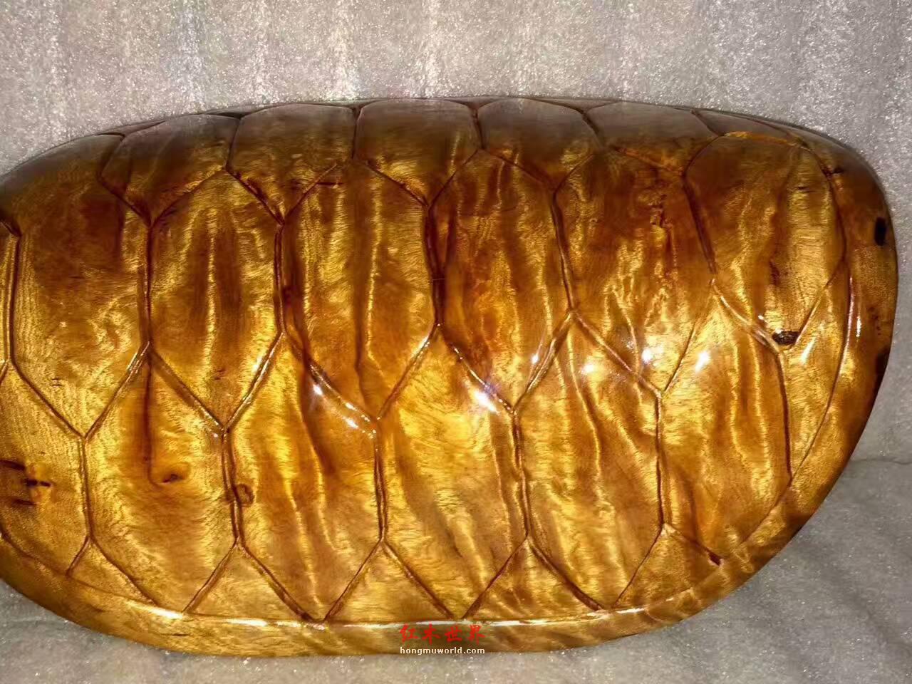 小叶桢楠枯木料打造龟甲《富甲天下》灵动通透-2