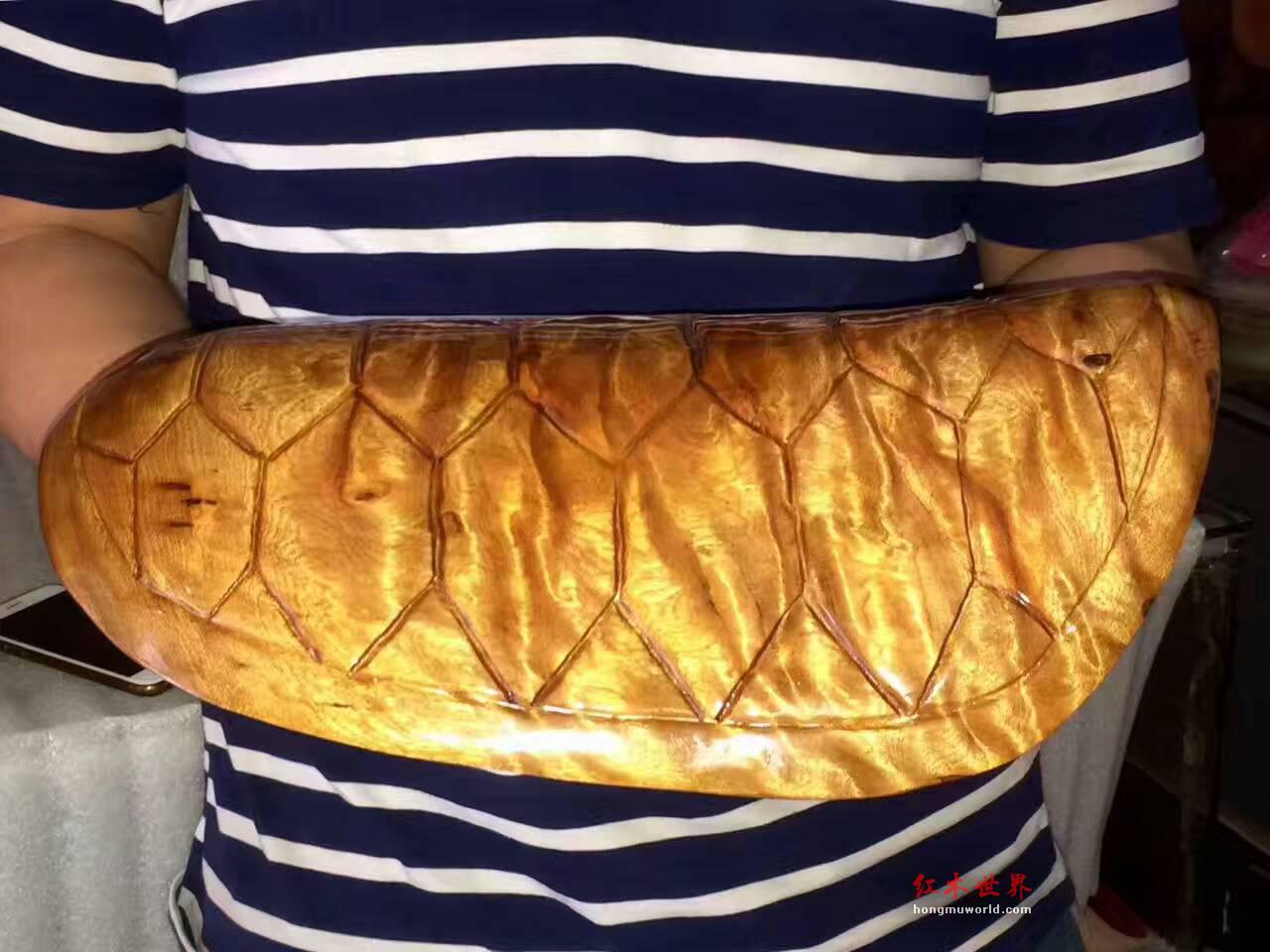 小叶桢楠枯木料打造龟甲《富甲天下》灵动通透-5