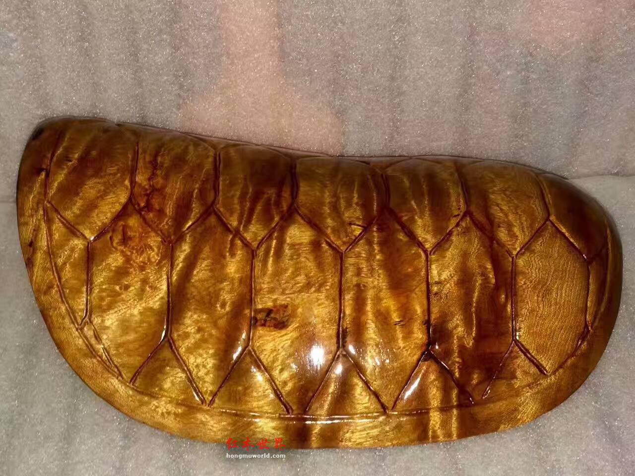 小叶桢楠枯木料打造龟甲《富甲天下》灵动通透-8