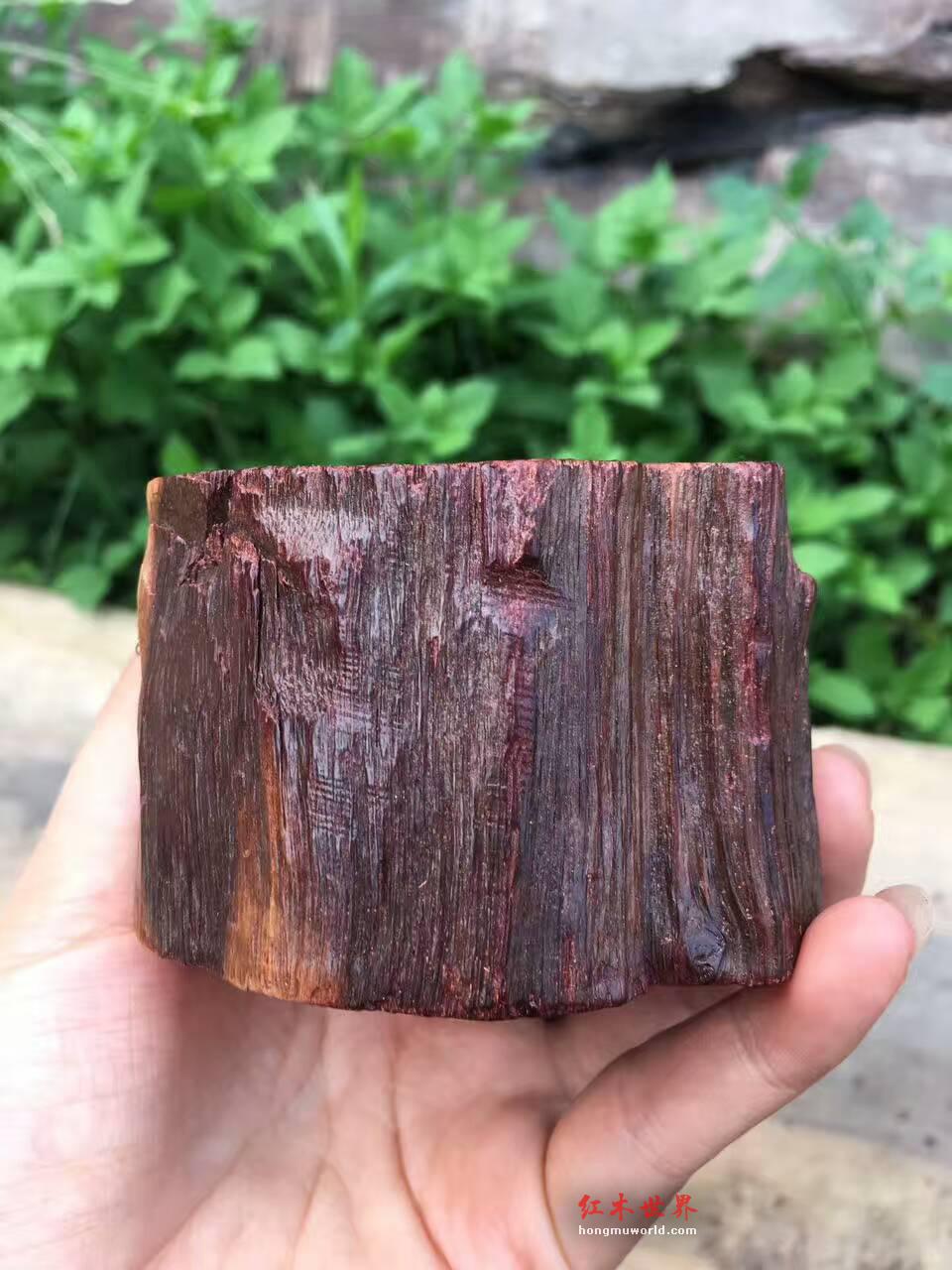 小叶紫檀工艺品《牛气爆棚》 雕工精美-6