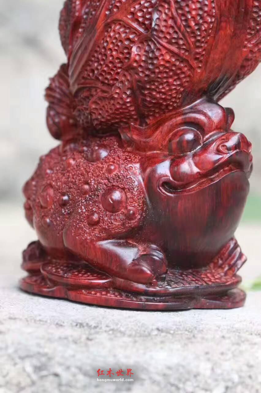 小叶紫檀招财摆件《金蟾白菜》精美雕工栩栩如生-4