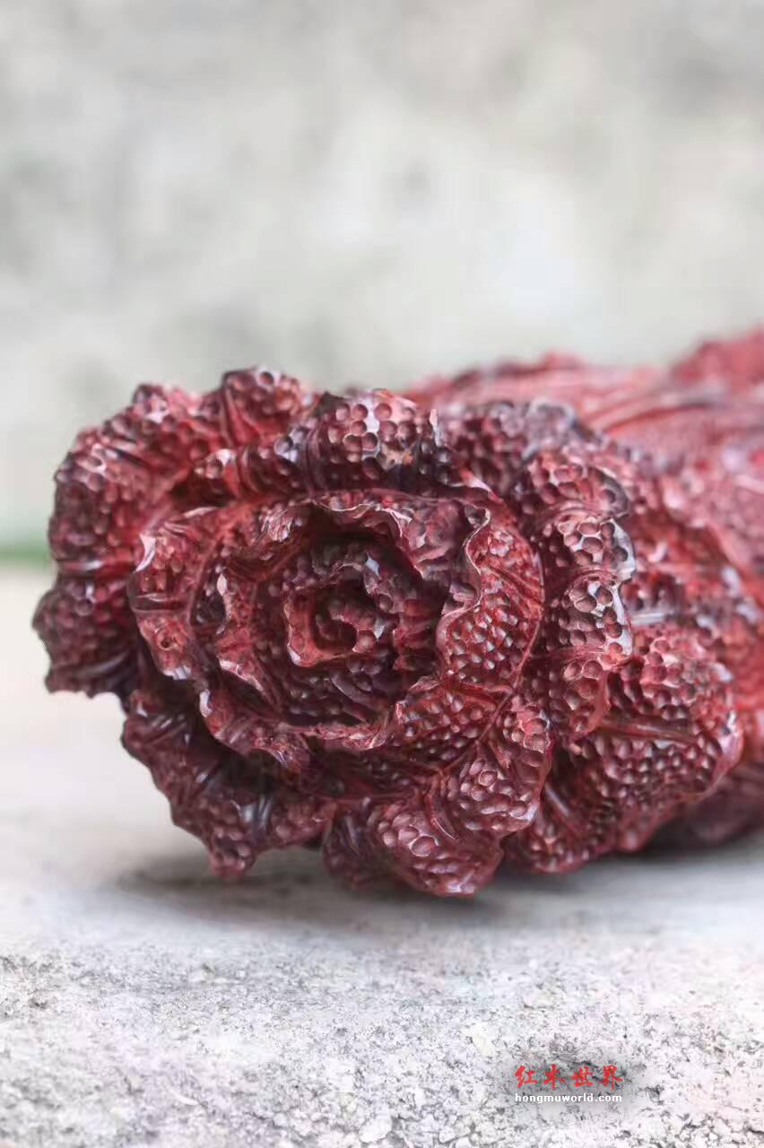 小叶紫檀招财摆件《金蟾白菜》精美雕工栩栩如生-5