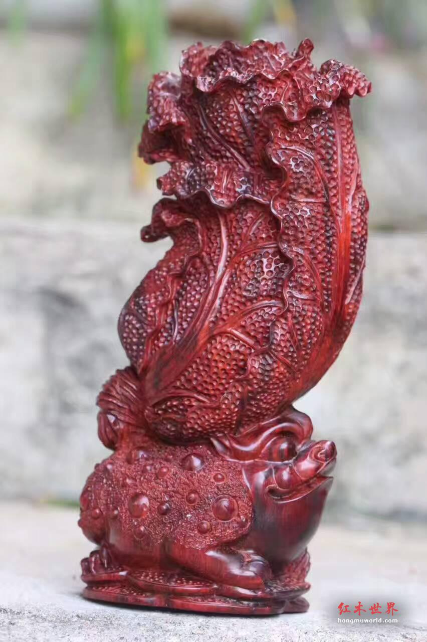 小叶紫檀招财摆件《金蟾白菜》精美雕工栩栩如生-7